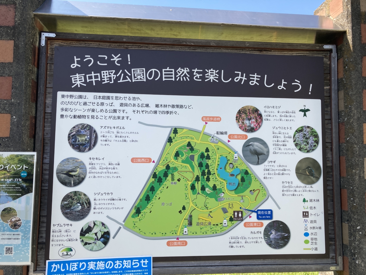 【多摩センター】野鳥観察ができます☆