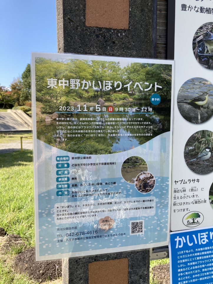 【多摩センター】野鳥観察ができます☆