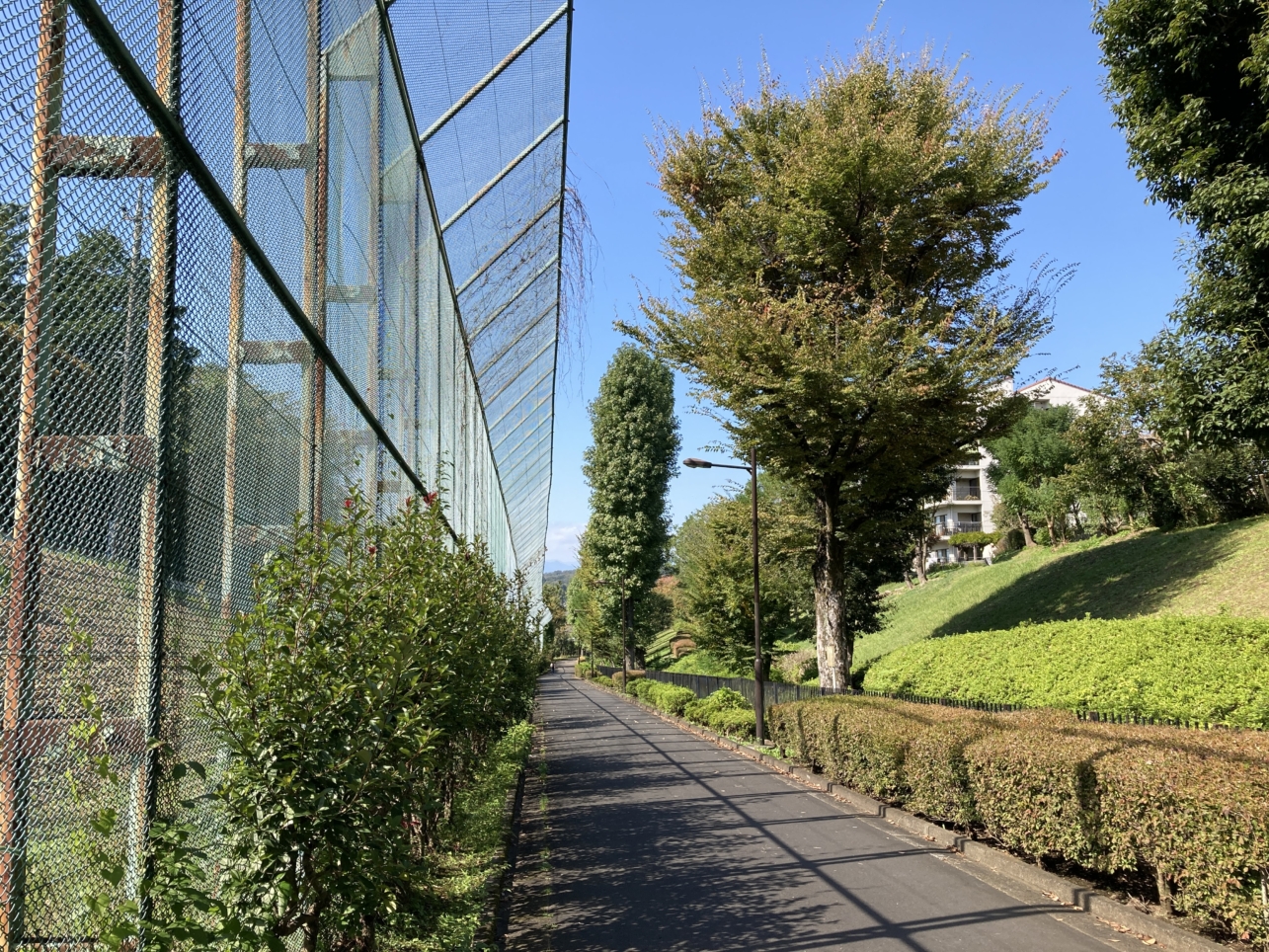 【多摩センター】トンネルの上はこうなっています。