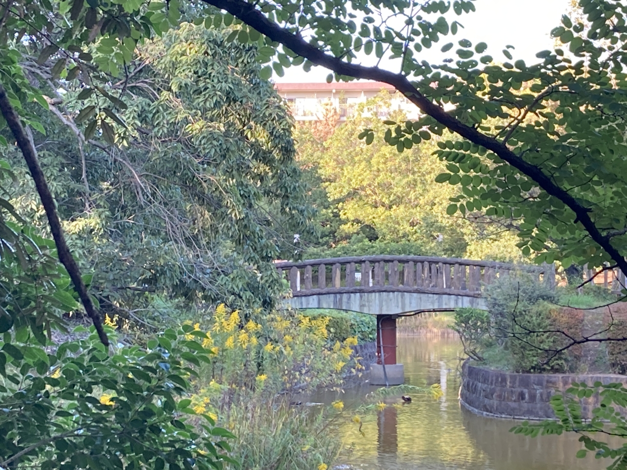 【多摩センター】池のほとりでひと休み♪