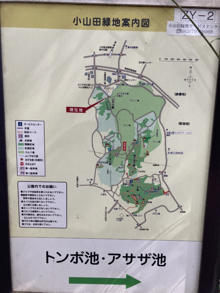 【唐木田】ウォーキングにオススメ☆よこやまの道（唐木田付近）