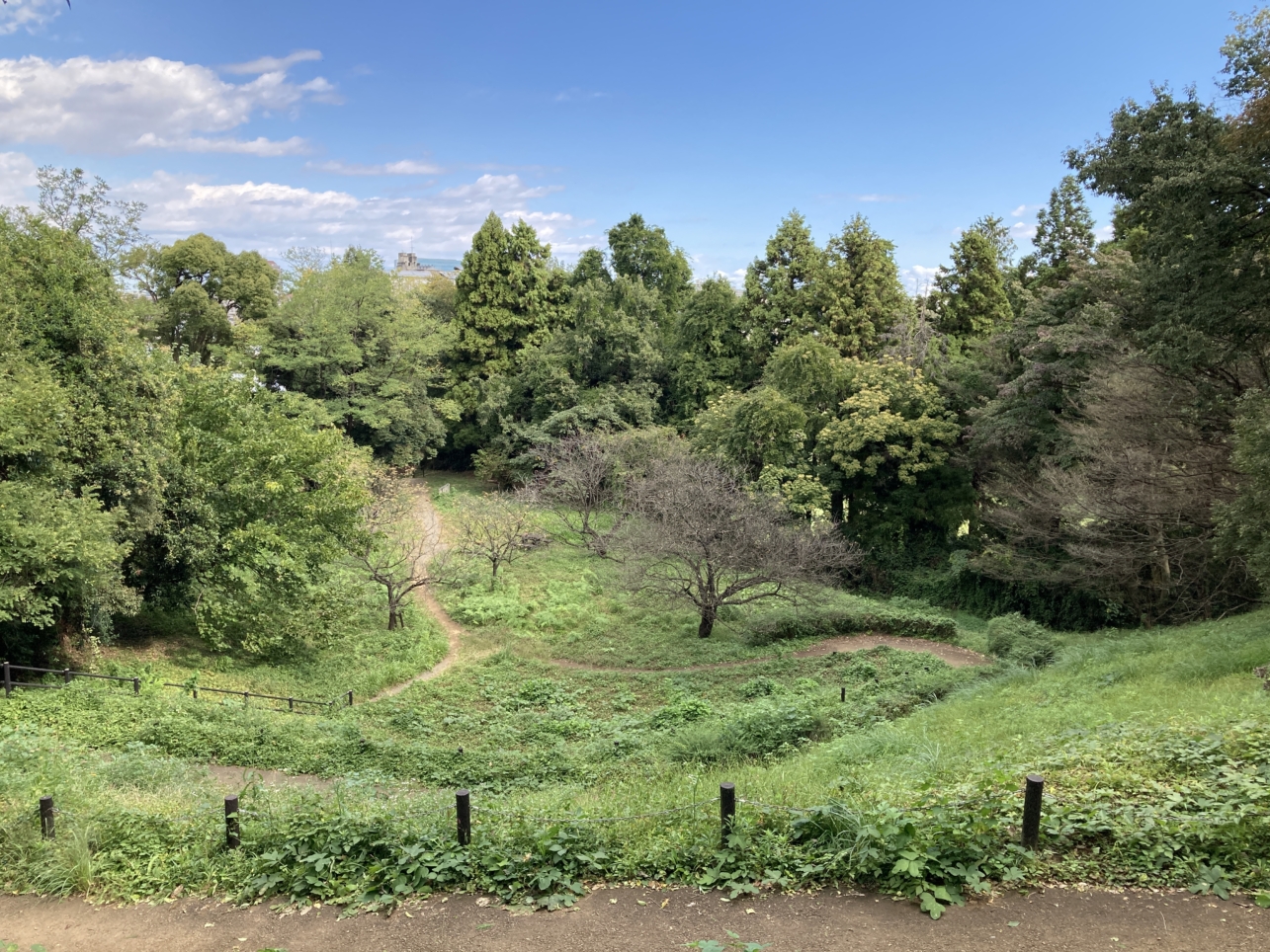 【唐木田】ウォーキングにオススメ☆よこやまの道（唐木田付近）