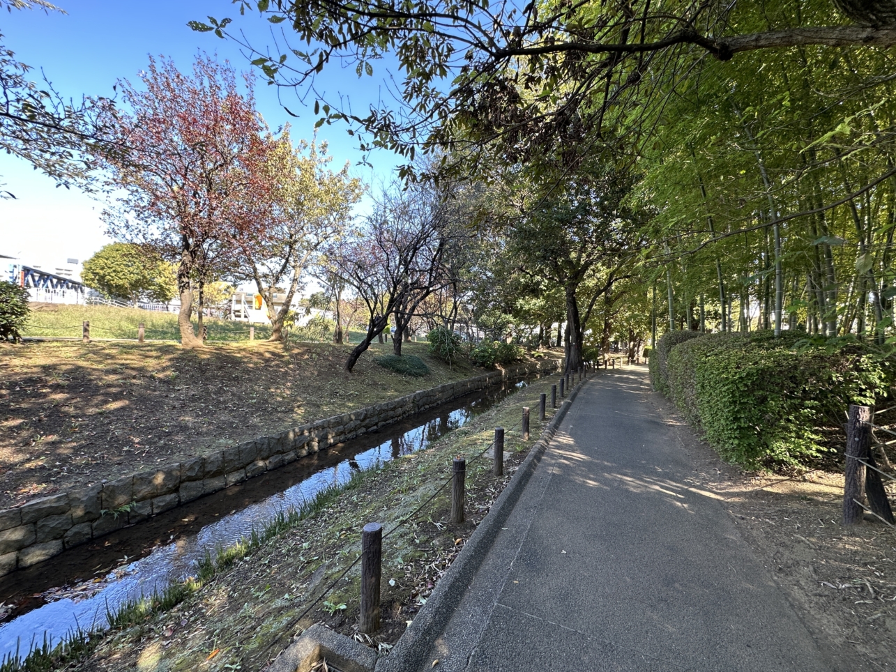 家族の憩いの場♪（次大夫堀公園（じだゆうぼりこうえん））