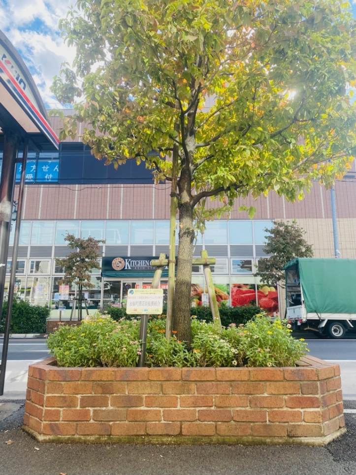 永福町駅の良さを声を大にして言いたい