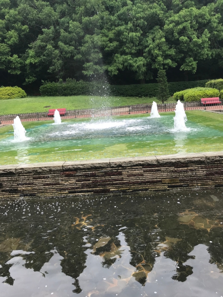 ☆県立相模原公園☆