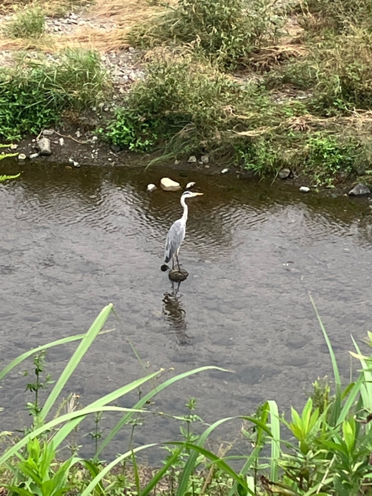 釣り人発見！