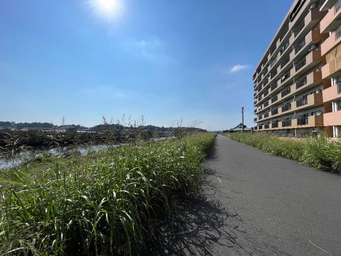 【綱島周辺紹介】鶴見川を一望できる✨土手
