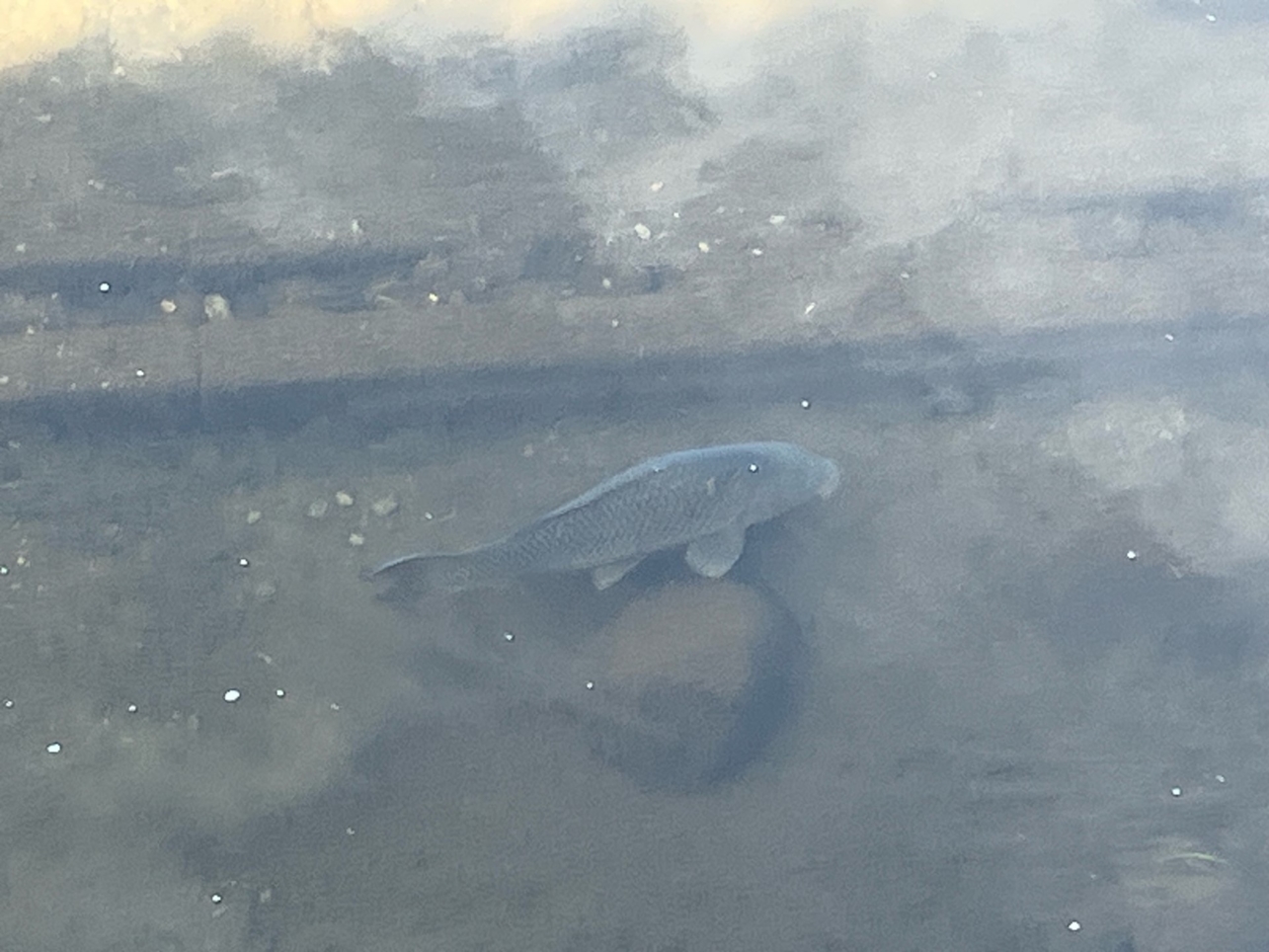 釣り人発見！