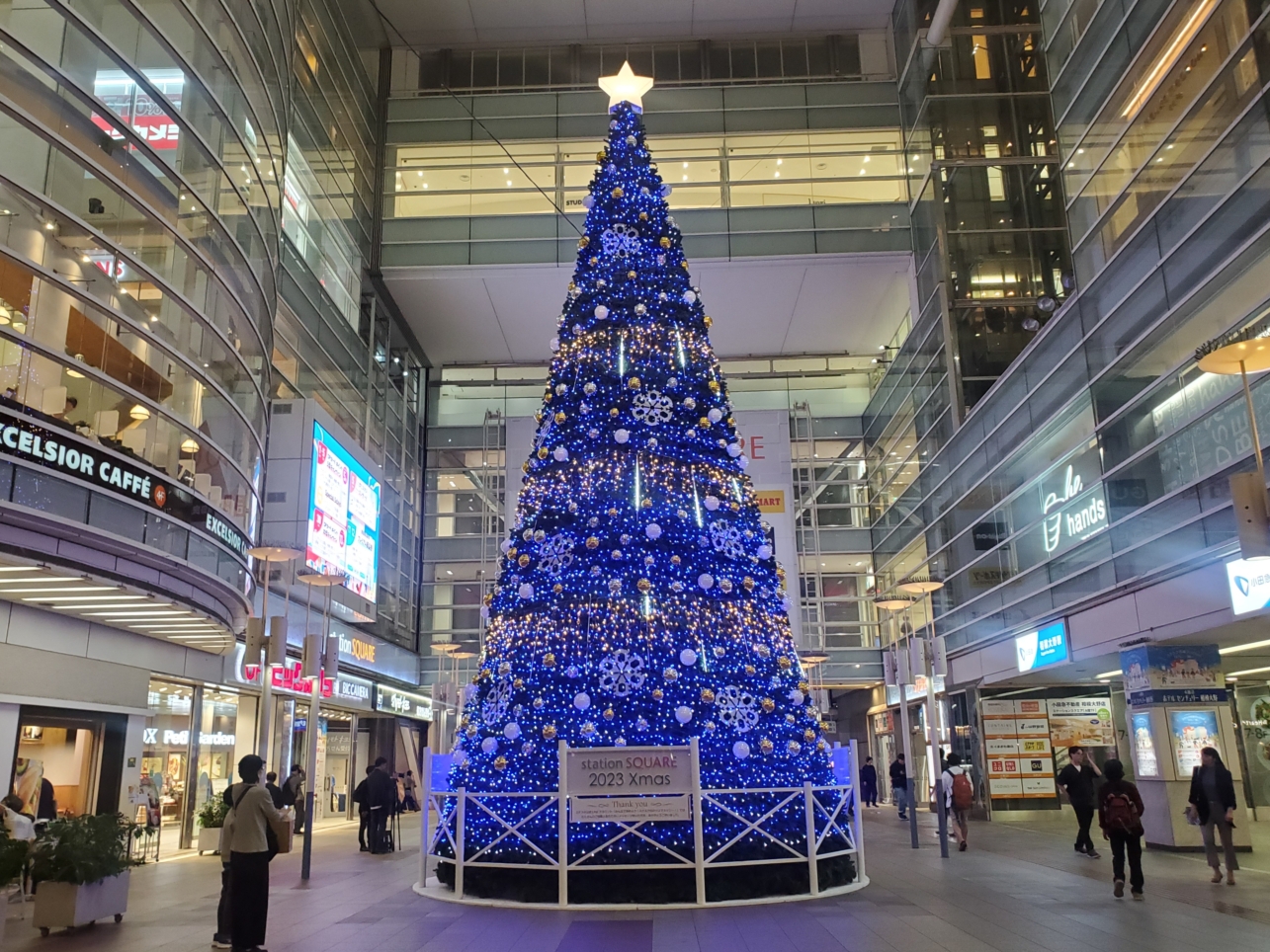相模大野のクリスマス①🎄
