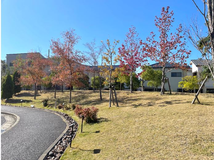 【綱島周辺紹介】TRESSA裏 ✨Parc de laTRESSA
