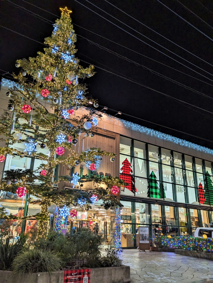 ☆吉祥寺駅周辺イルミネーション☆