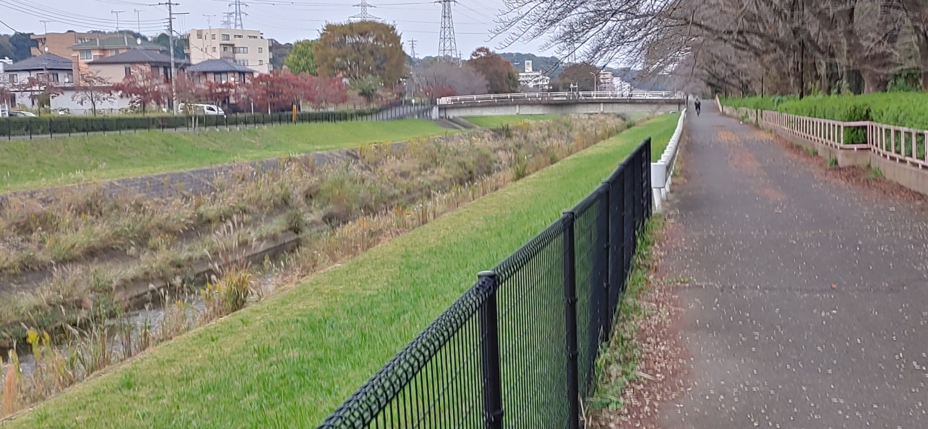 🌲大栗川沿い散策の途中🌲