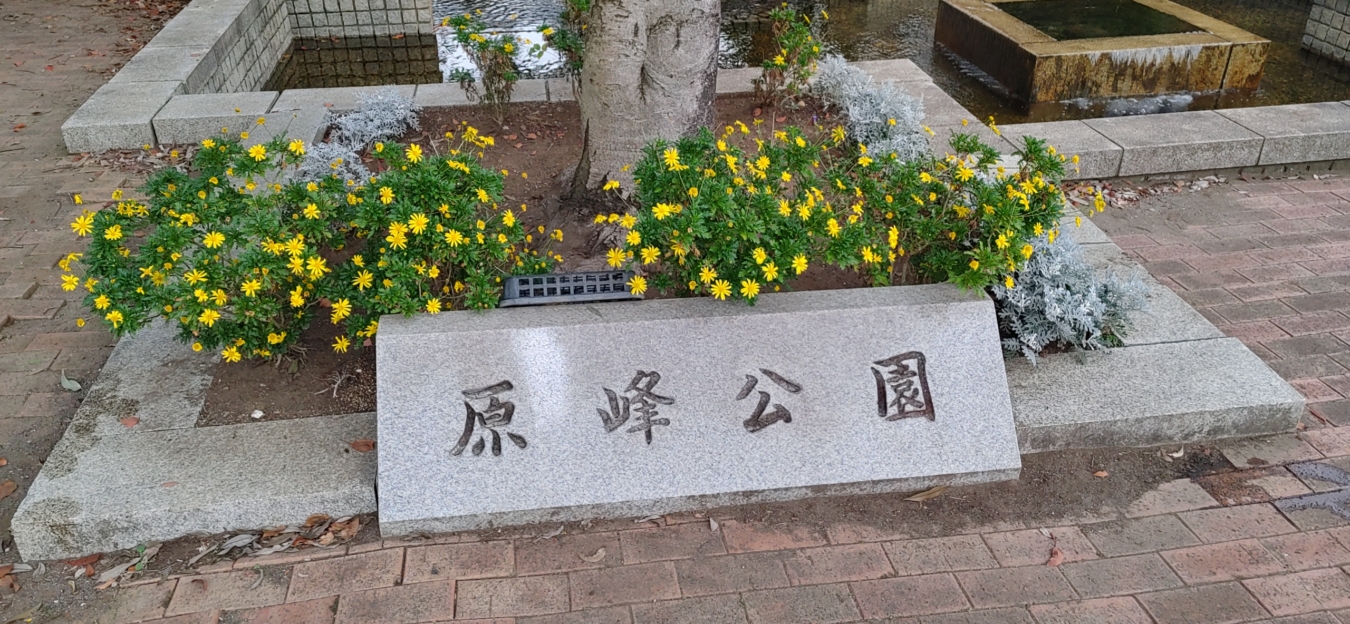 現在進行形野外展in多摩市