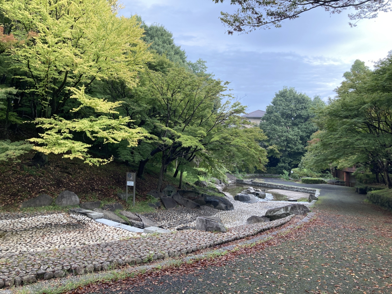 【多摩センター】野球、テニス、水遊び、、色々できる公園です☆