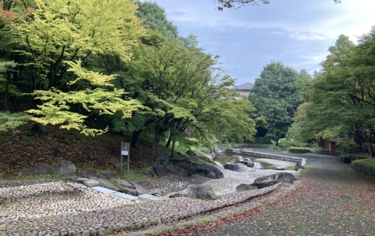 【多摩センター】野球、テニス、水遊び、、色々できる公園です☆