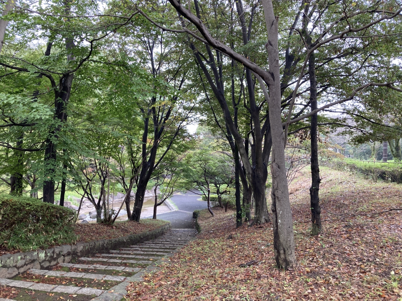 【多摩センター】野球、テニス、水遊び、、色々できる公園です☆