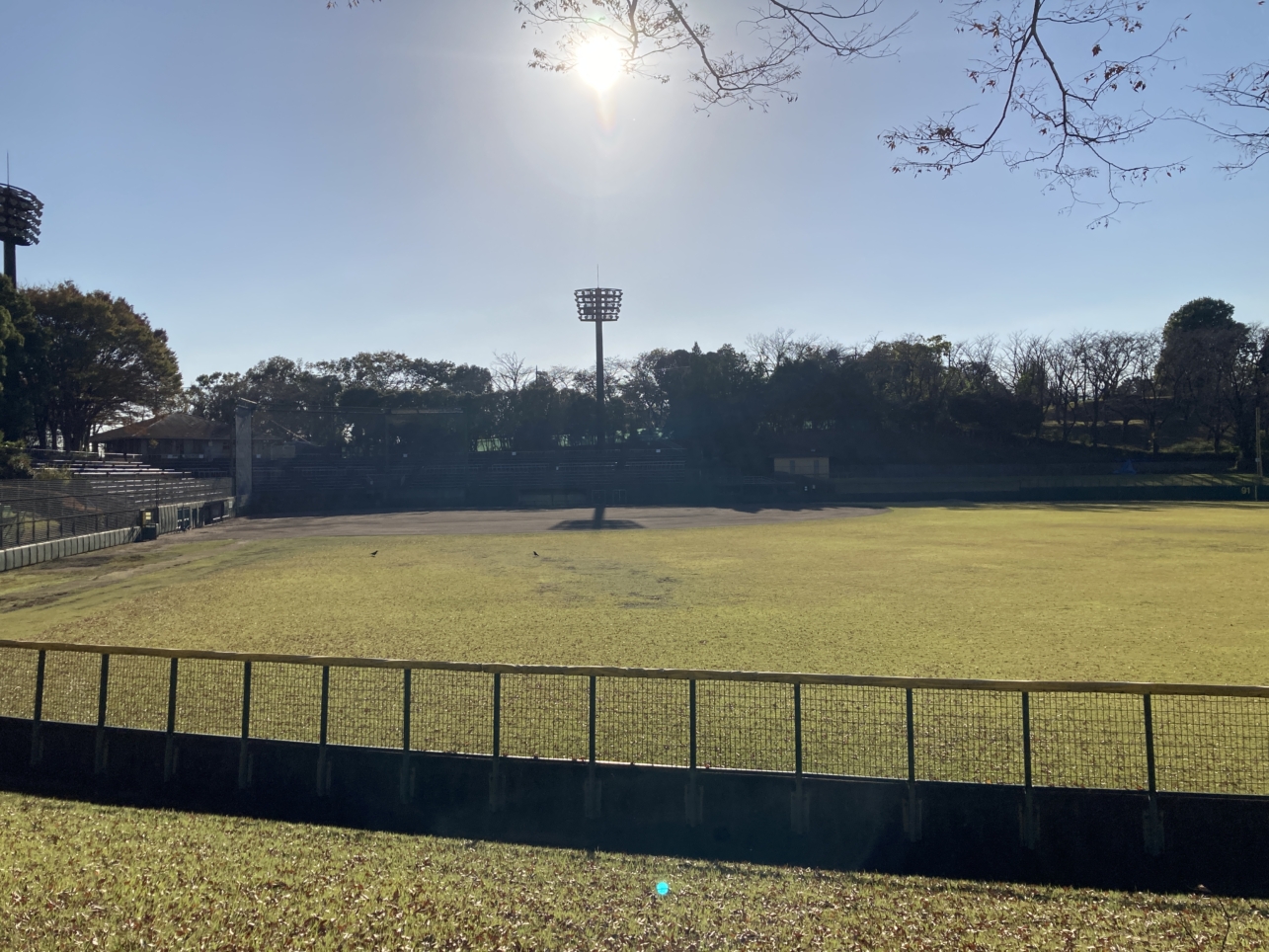 【多摩センター】野球、テニス、水遊び、、色々できる公園です☆