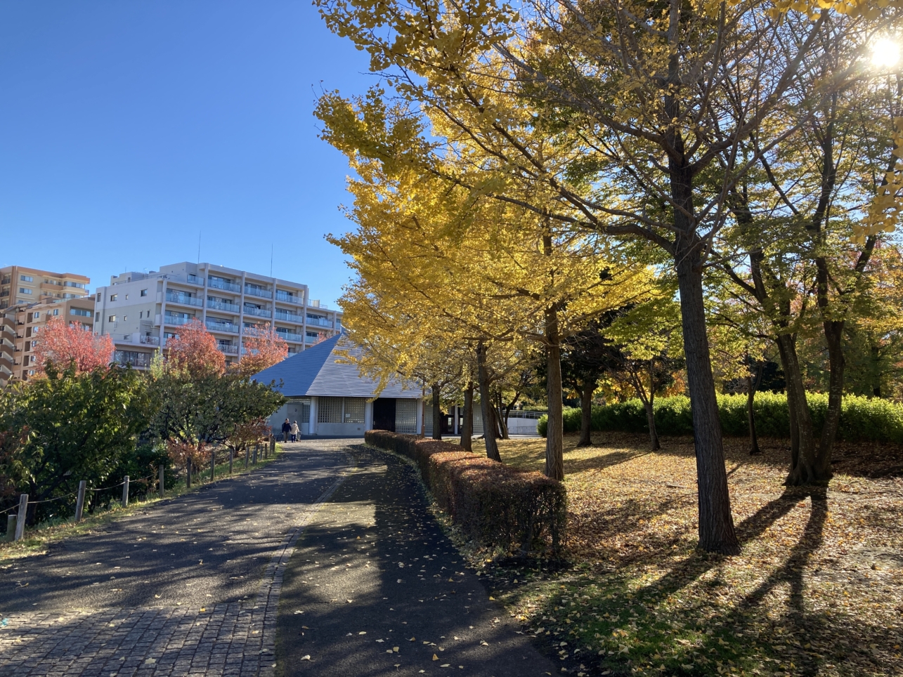 【唐木田】多摩の紅葉⑤鶴牧西公園