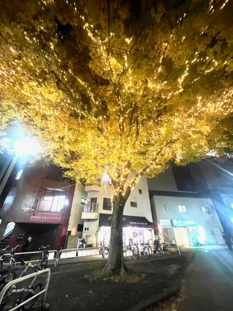 ♪♪～反町も冬の装いです～♪♪
