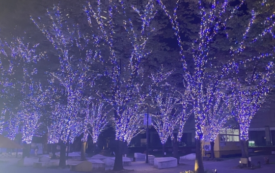 ❄冬の醍醐味がやってきた❄