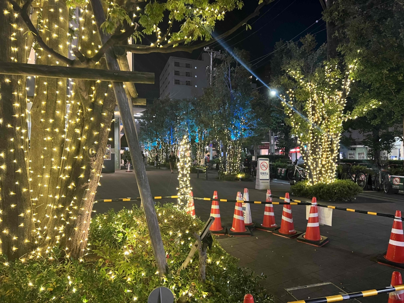 ☆冬の訪れ　笹塚にもイルミネーション☆（笹塚駅）