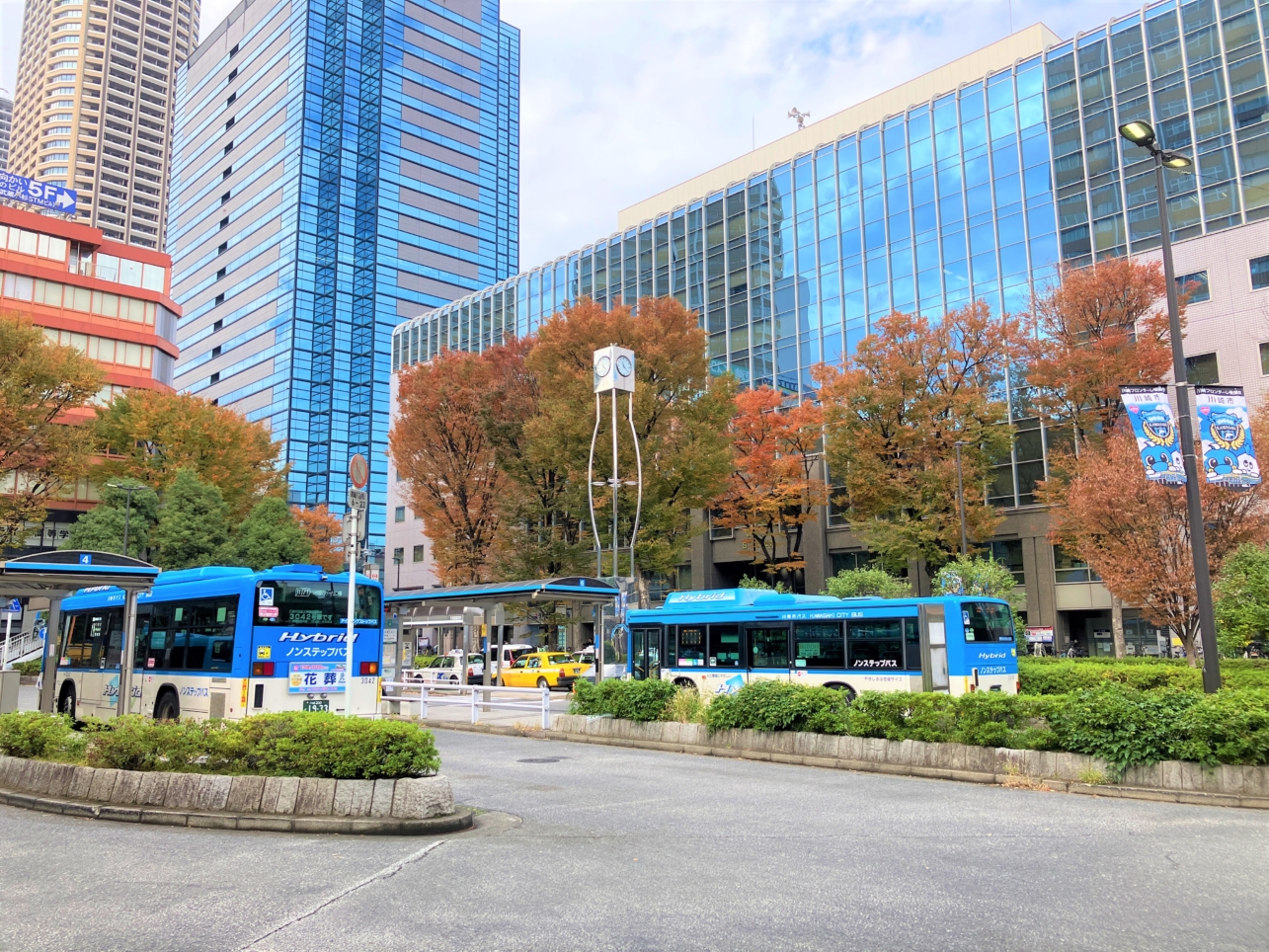 武蔵小杉の街路樹も色づいてきました♪