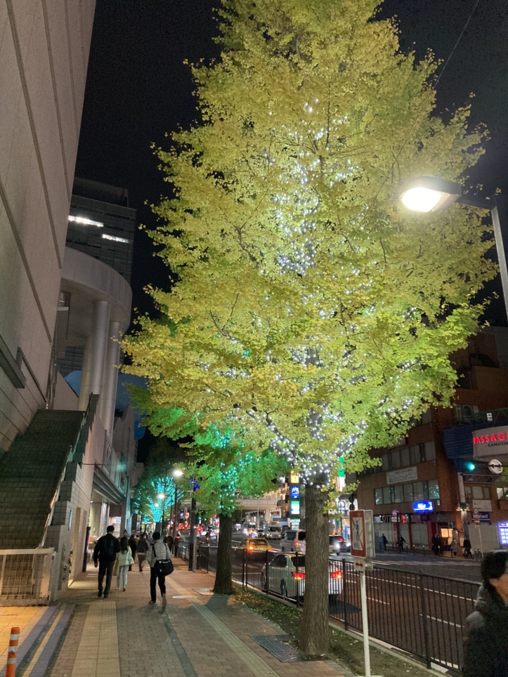 上大岡駅のイルミネーション