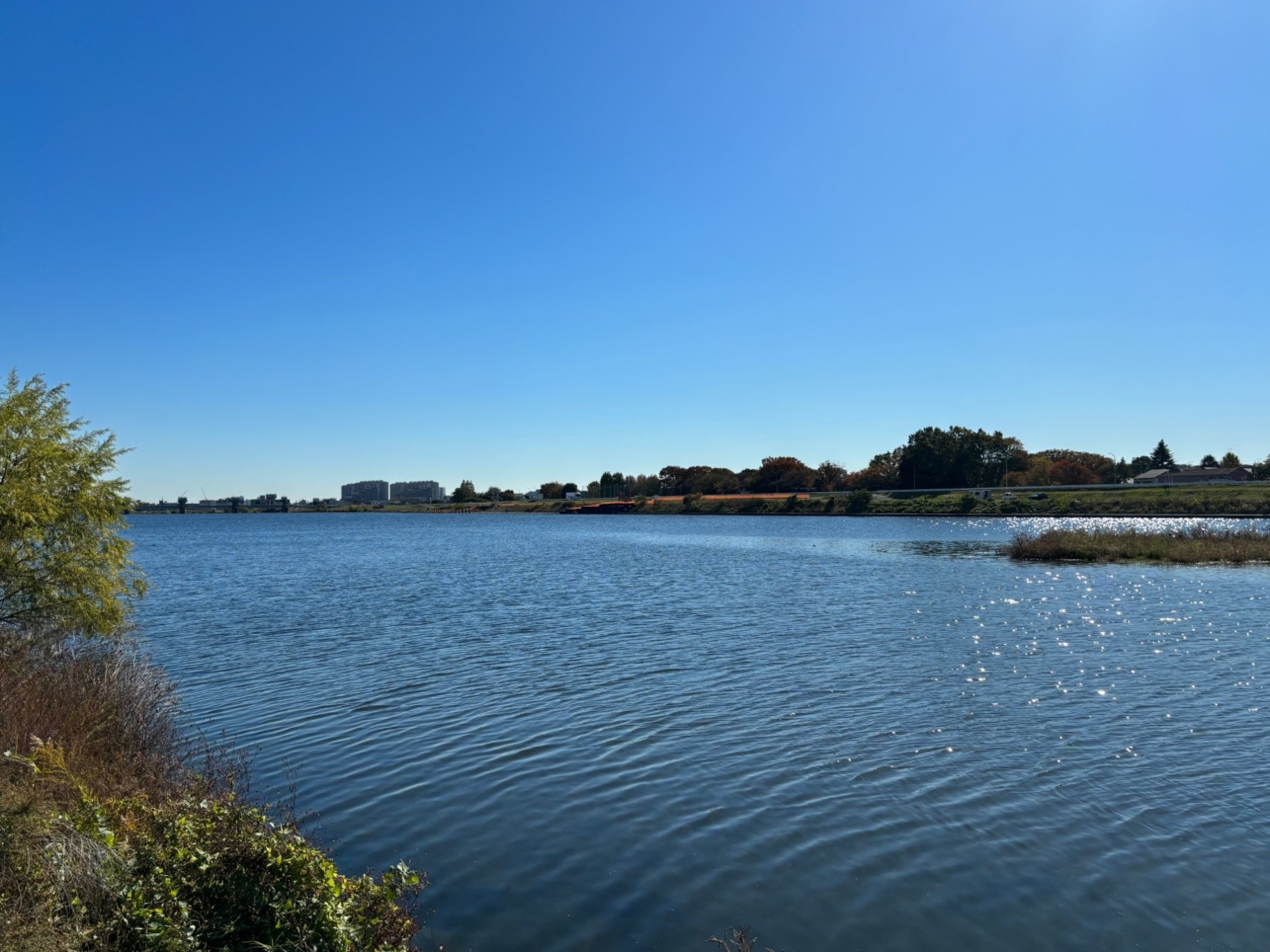 調布市民憩いの場～多摩川河川敷～