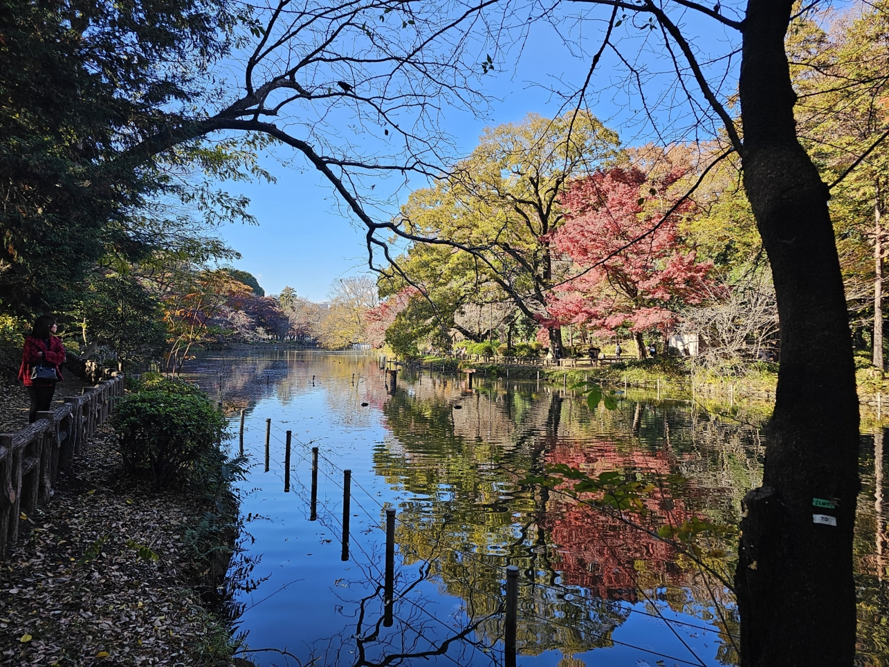 最近携帯の機種変更しました