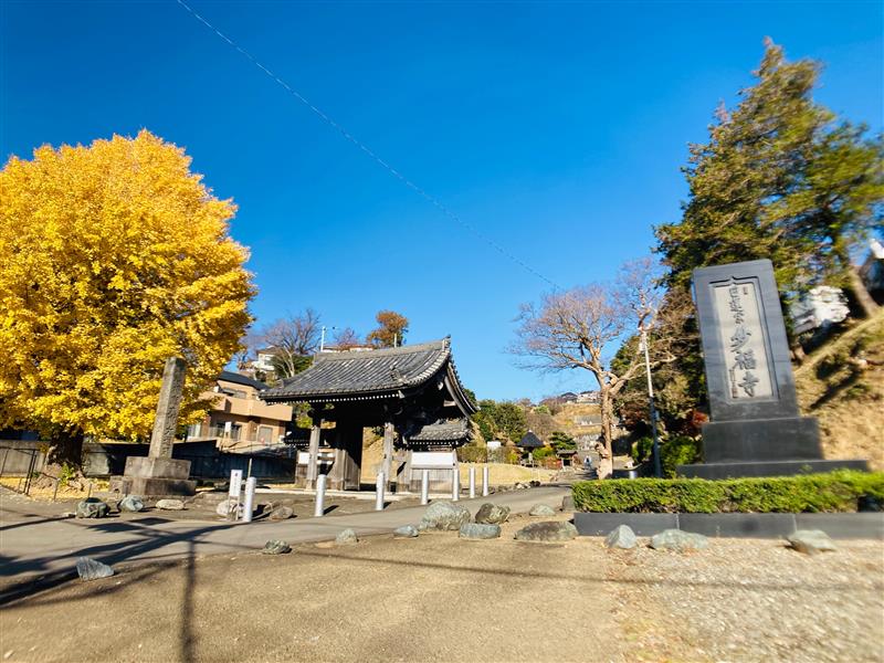 【保土ヶ谷】妙福寺