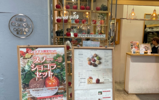 食べ歩きがたのしいCandy apple☆