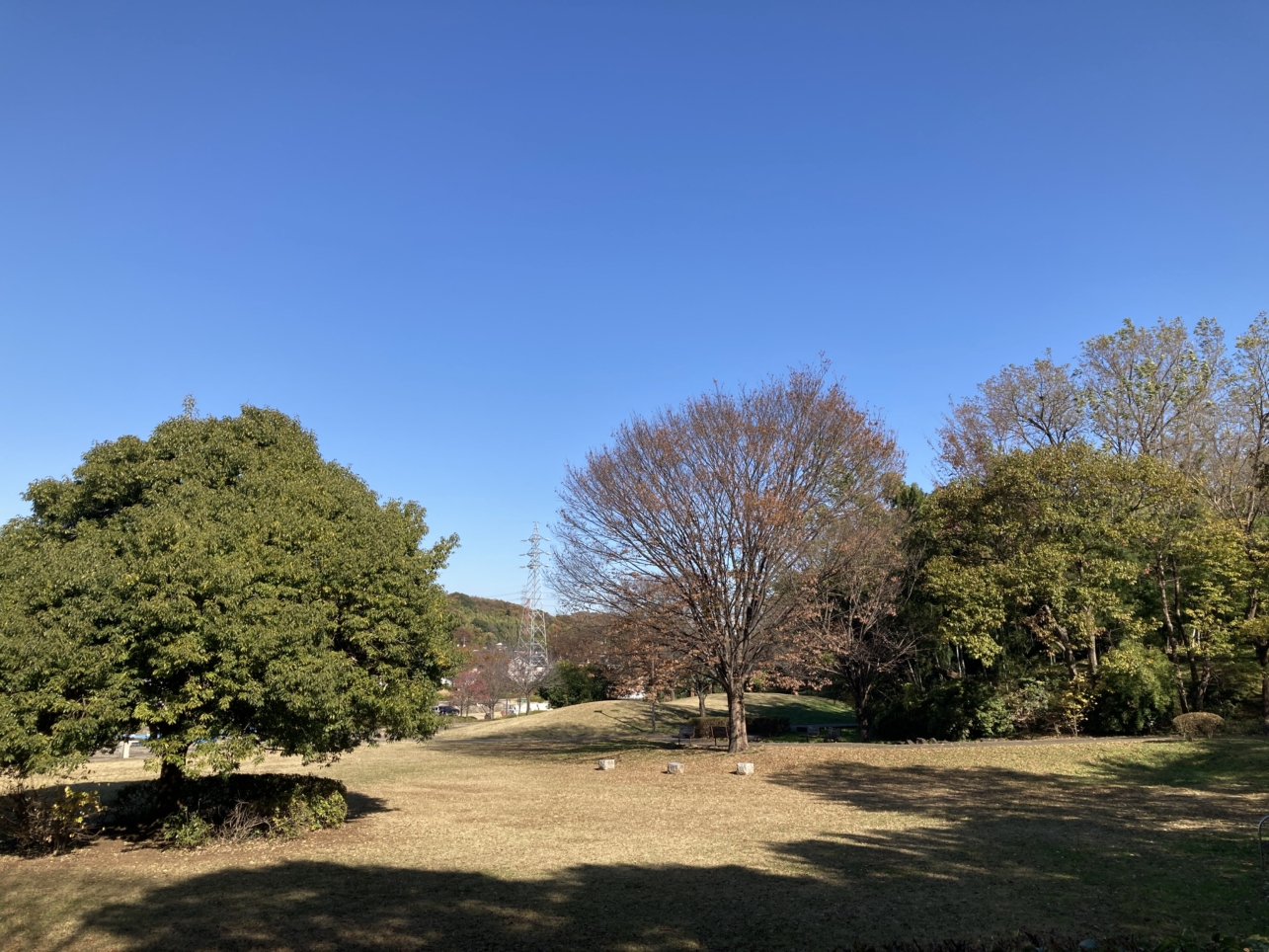 【京王堀之内】川沿いの公園です☆