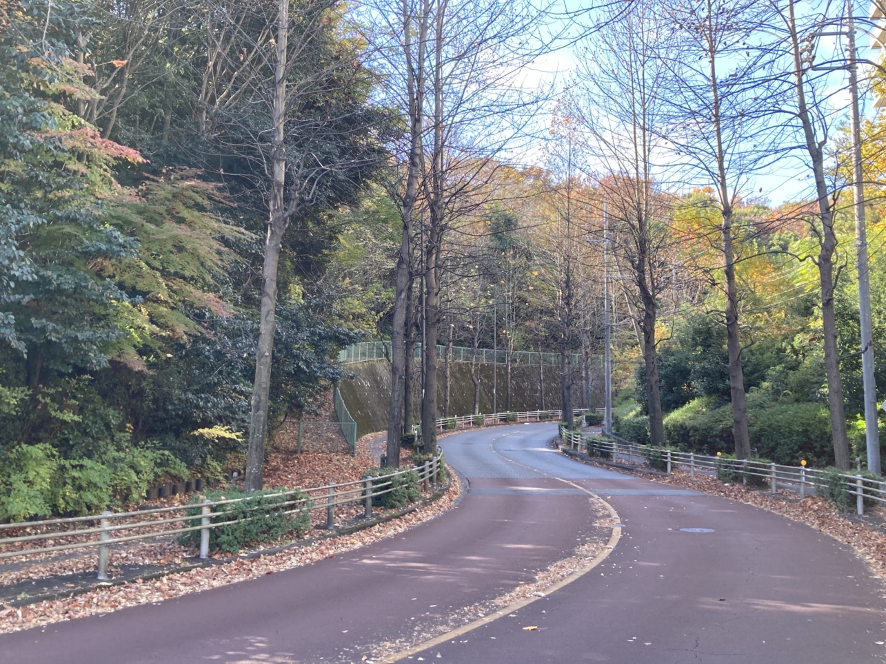 【南大沢】多摩の紅葉⑦都立大裏通り