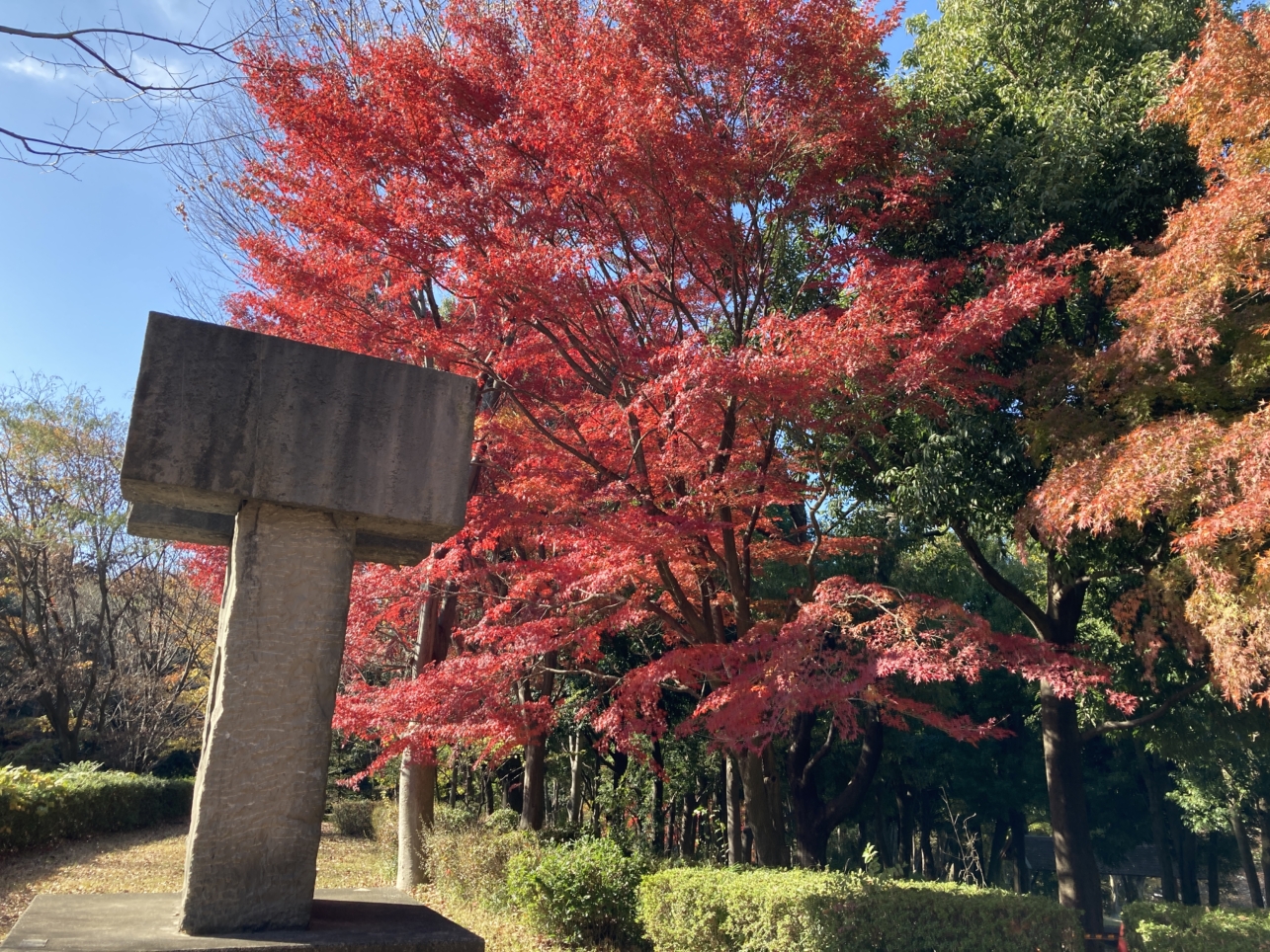 【南大沢】多摩の紅葉⑧富士見台公園