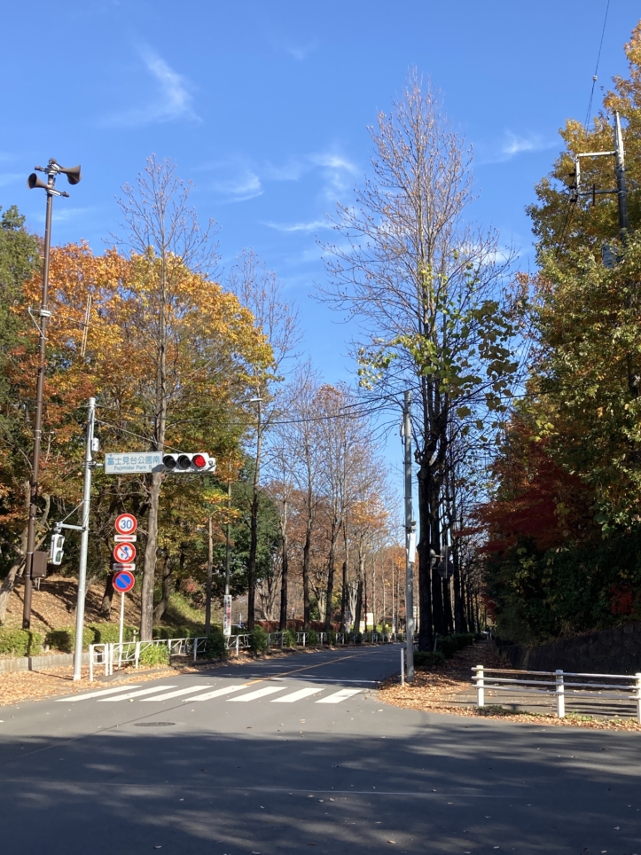 【南大沢】多摩の紅葉⑦都立大裏通り