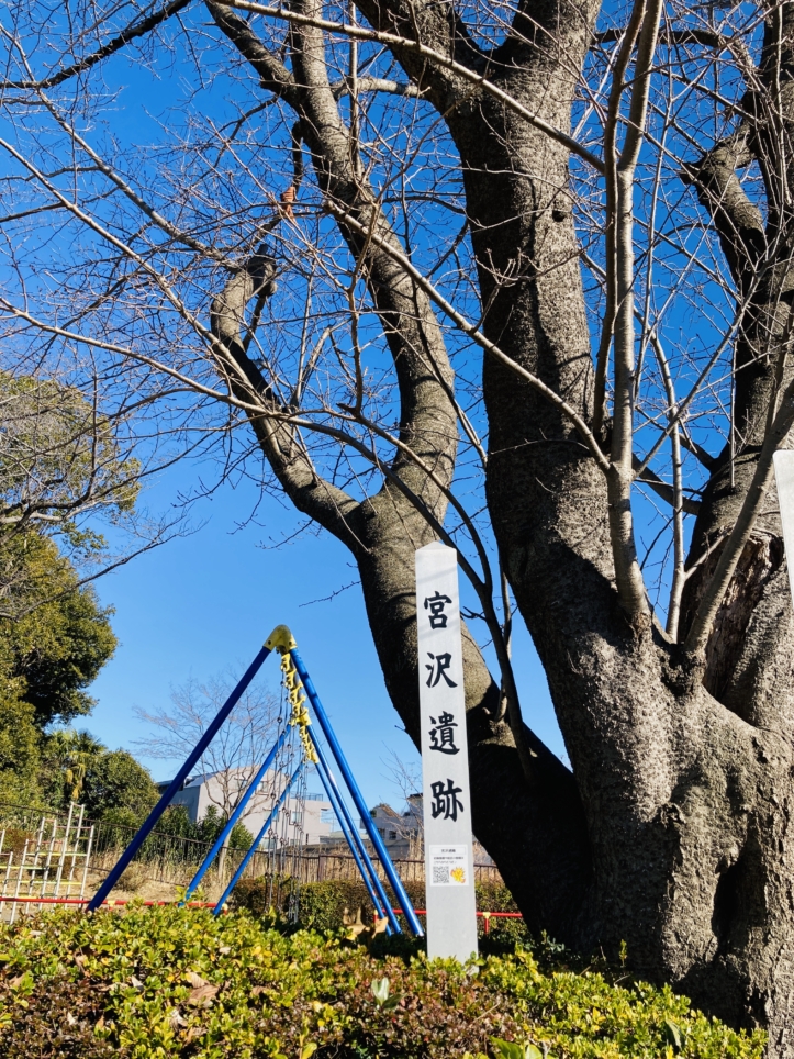【二俣川】宮沢遺跡