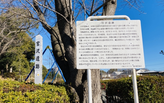 【二俣川】宮沢遺跡