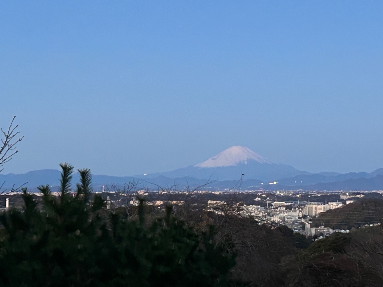 横浜市磯子区の絶景スポット（円海山）