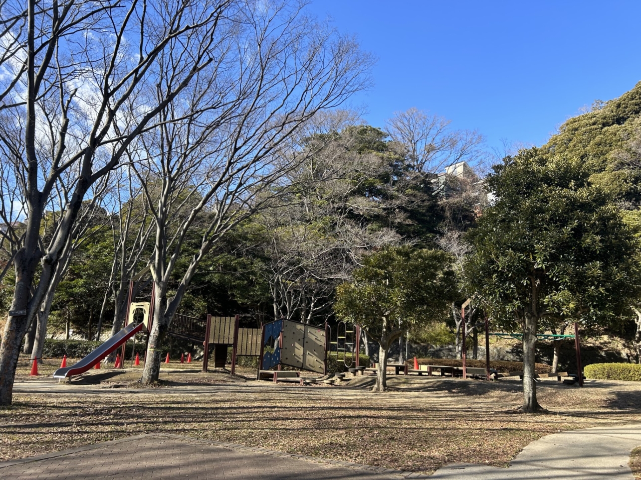 のんびり自然散策からスポーツまで！（金沢区　富岡総合公園）