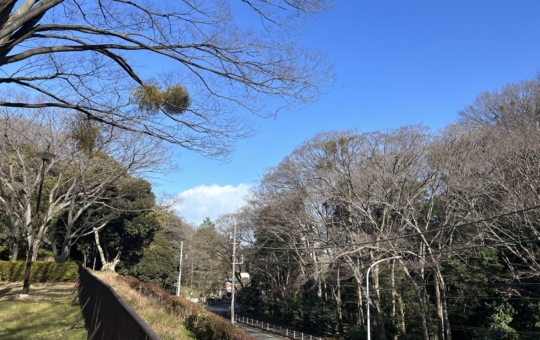 のんびり自然散策からスポーツまで！（金沢区　富岡総合公園）