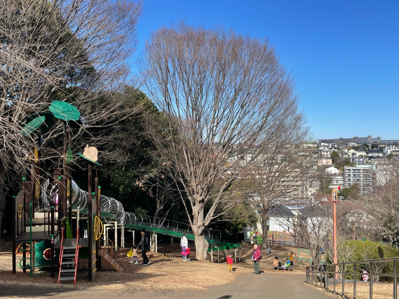 本格的な運動公園『三ッ沢公園』と『ニッパツ三ッ沢球技場』