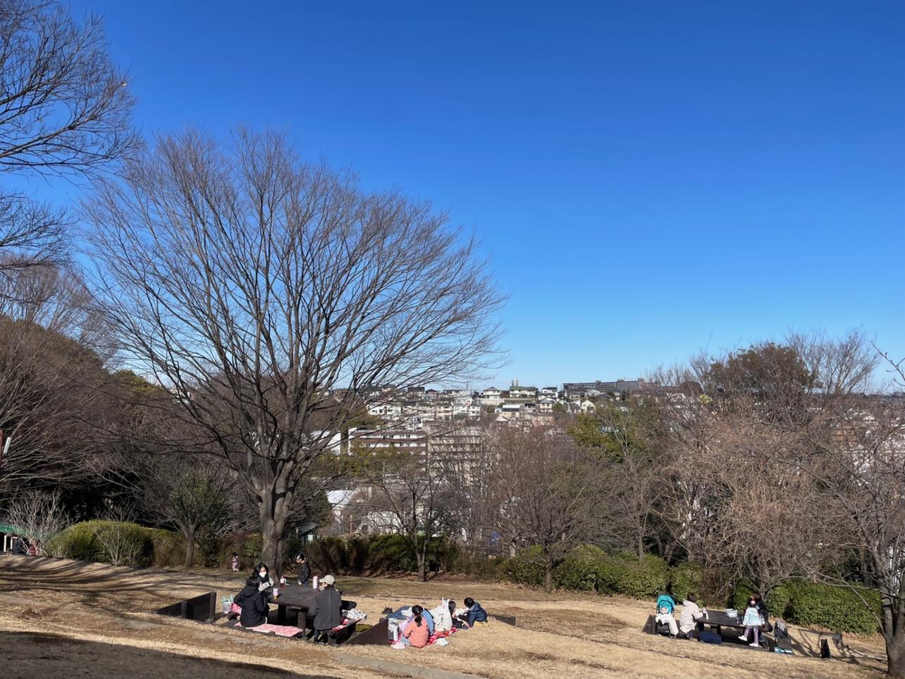 本格的な運動公園『三ッ沢公園』と『ニッパツ三ッ沢球技場』