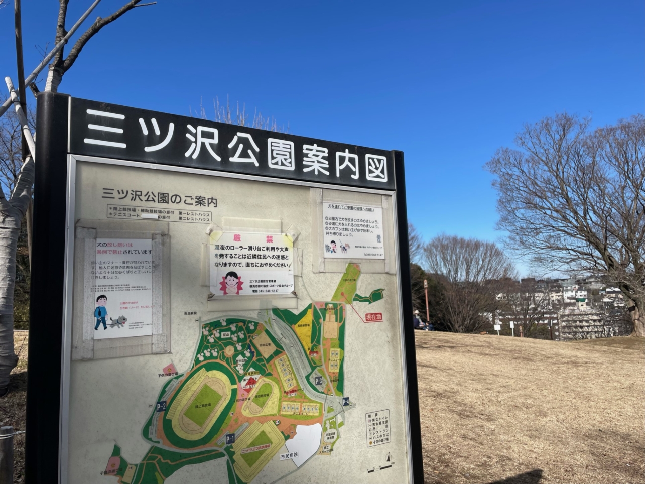 本格的な運動公園『三ッ沢公園』と『ニッパツ三ッ沢球技場』