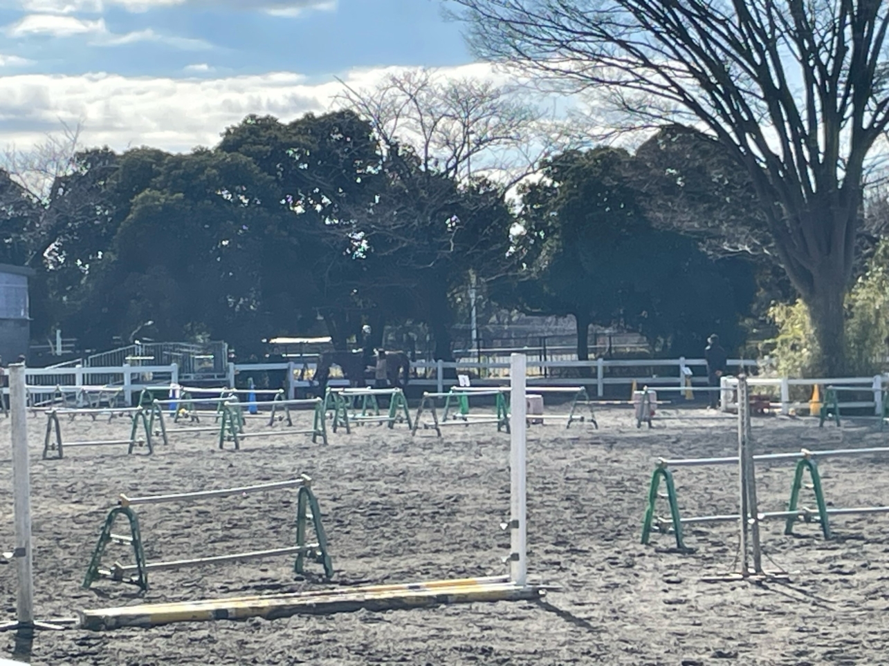 本格的な運動公園『三ッ沢公園』と『ニッパツ三ッ沢球技場』