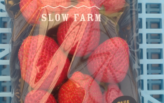 早野にある完熟イチゴSLOW　FARM！　