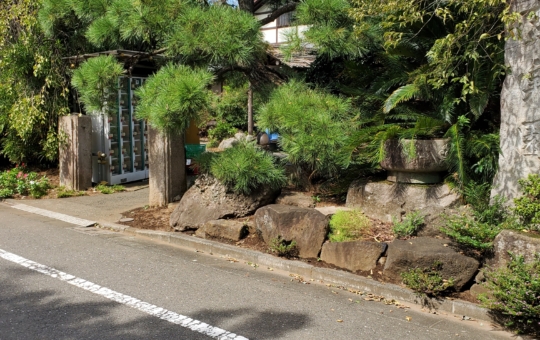 幸せの青い卵【吉実園】