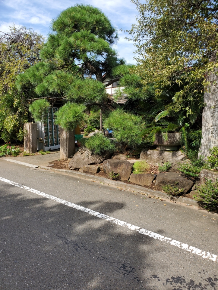 幸せの青い卵【吉実園】