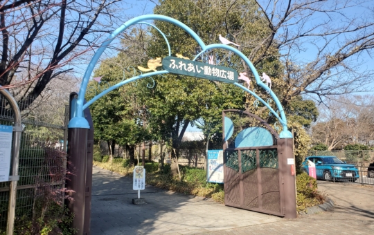 動物と触れ合える公園【麻溝台】