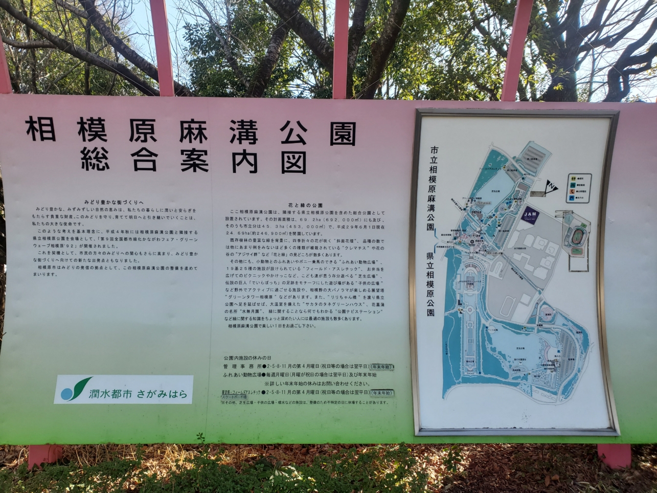 動物と触れ合える公園【麻溝台】