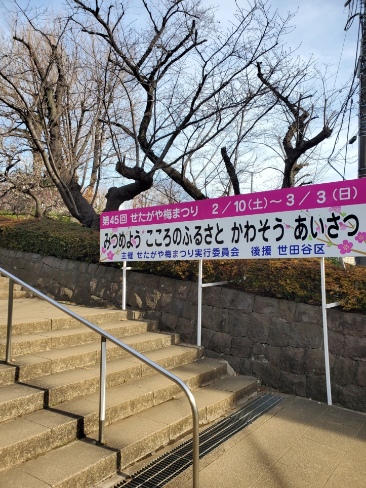 梅の名所　梅が丘（羽根木公園）